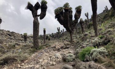 LEMOSHO ROUTE – 8 DAYS