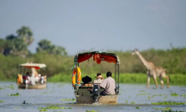 Safari 4 Days – Nyerere National Park